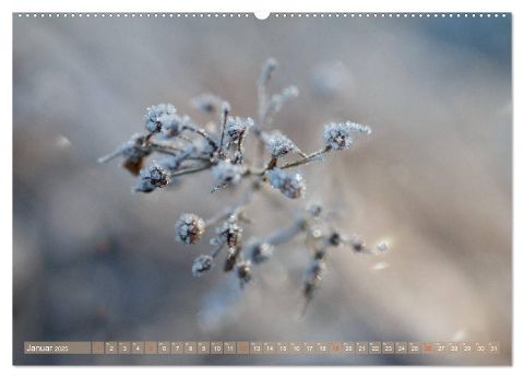 additionalImage4