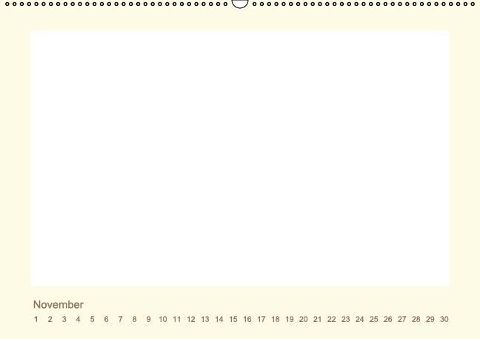 additionalImage11