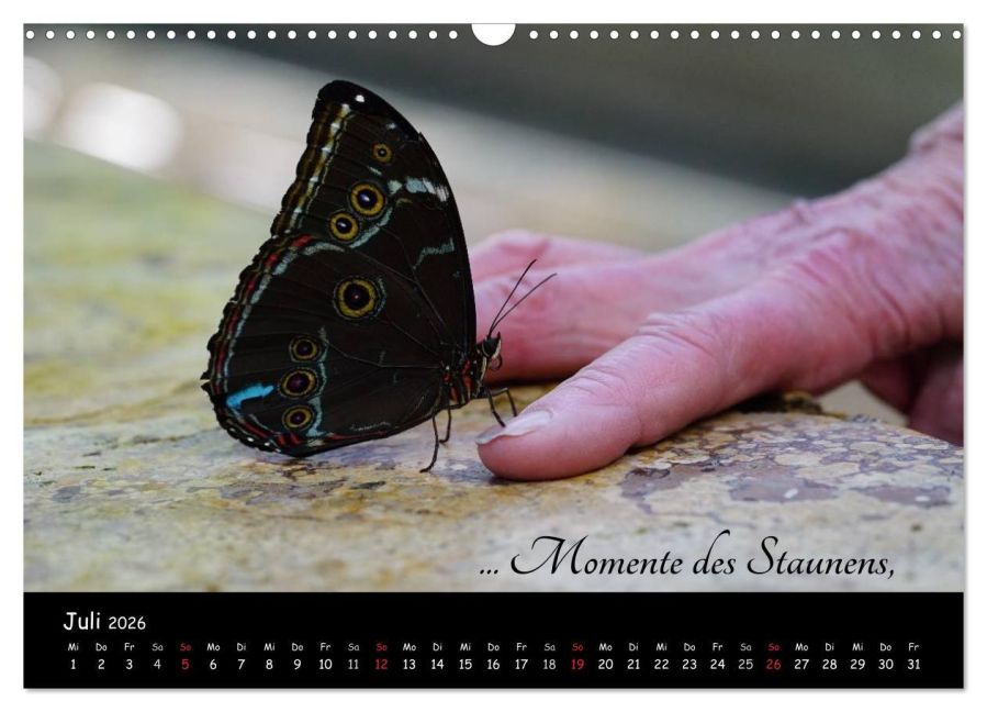 additionalImage12