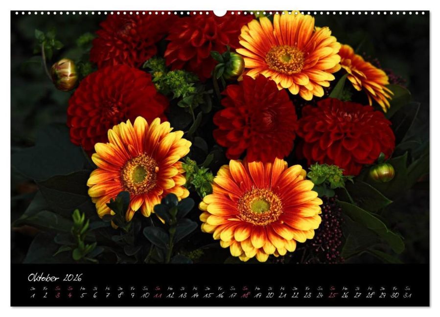 additionalImage1