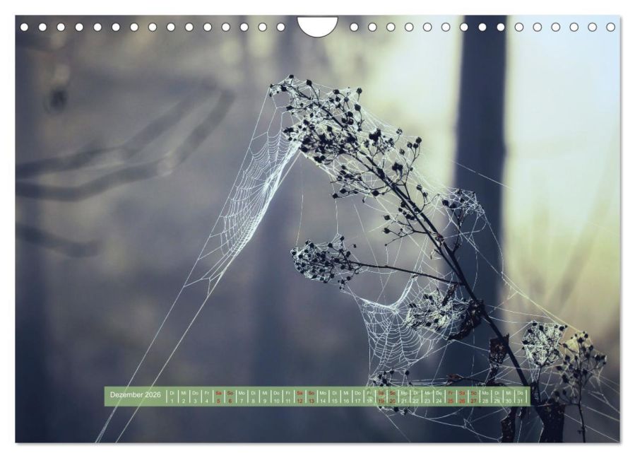 additionalImage4