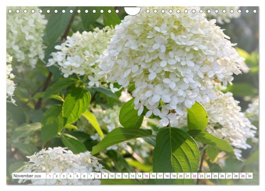additionalImage3