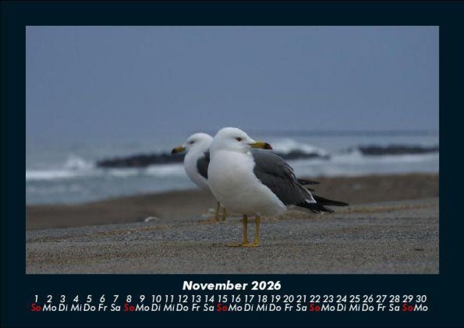 additionalImage3