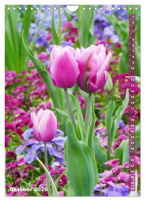 additionalImage2
