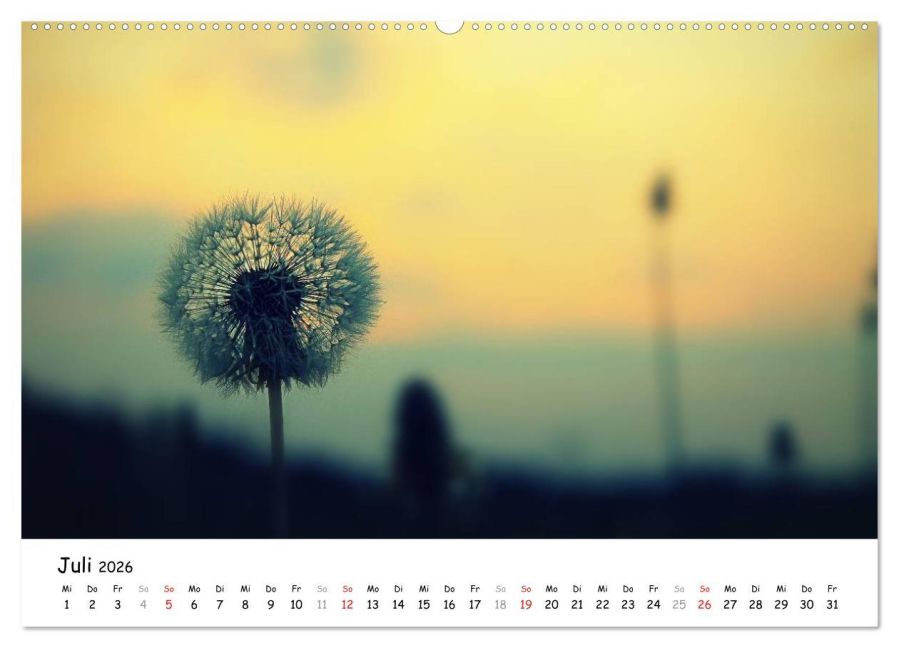 additionalImage12