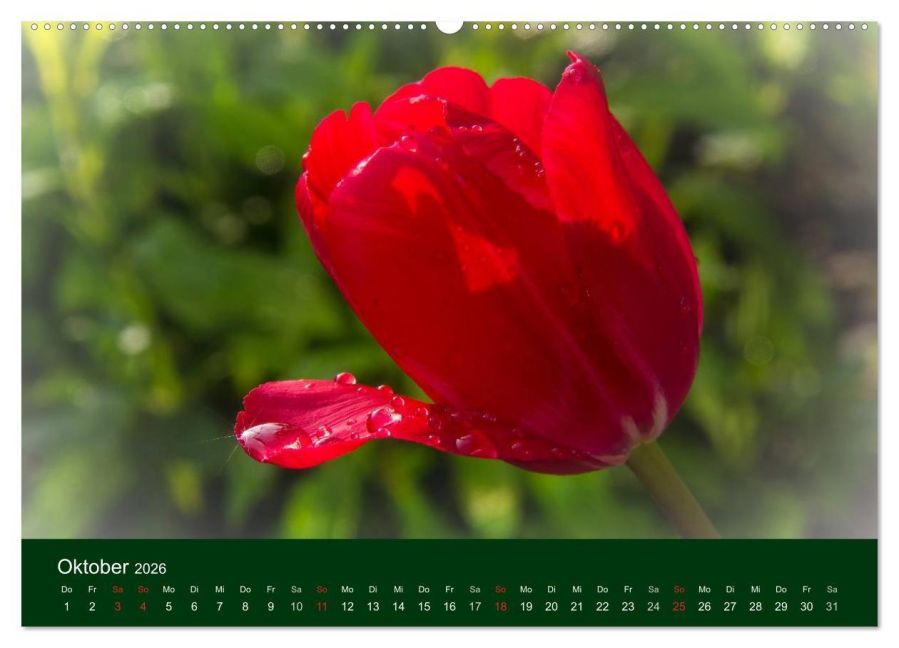 additionalImage2