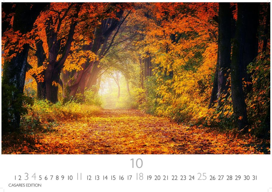 additionalImage10