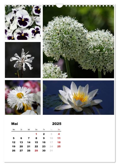 additionalImage10
