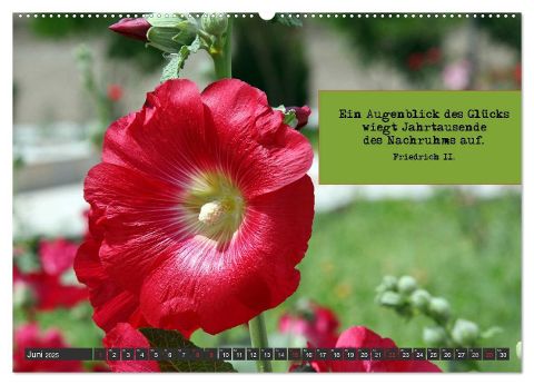 additionalImage10