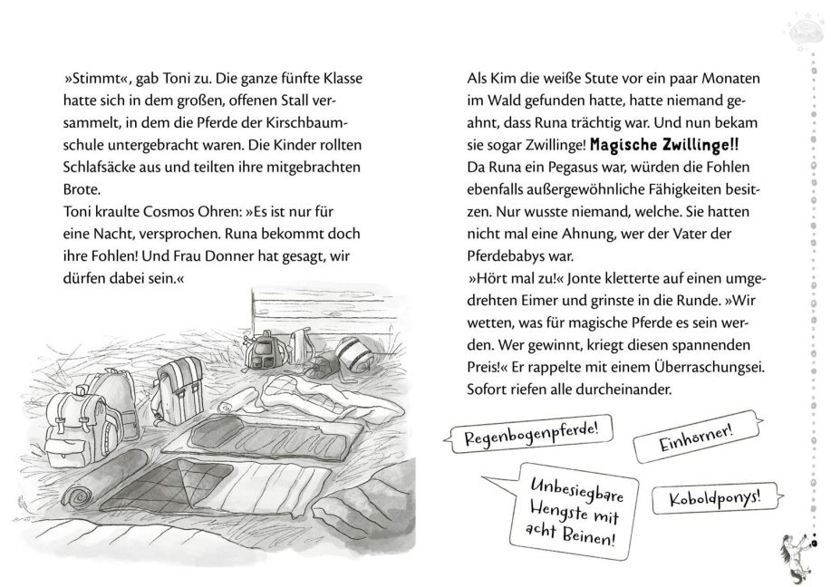 additionalImage2