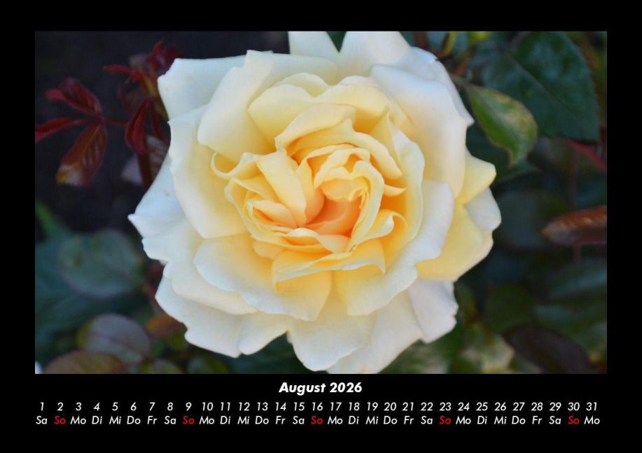 additionalImage12