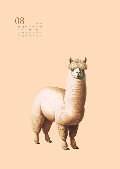 additionalImage8