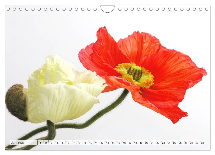 additionalImage11
