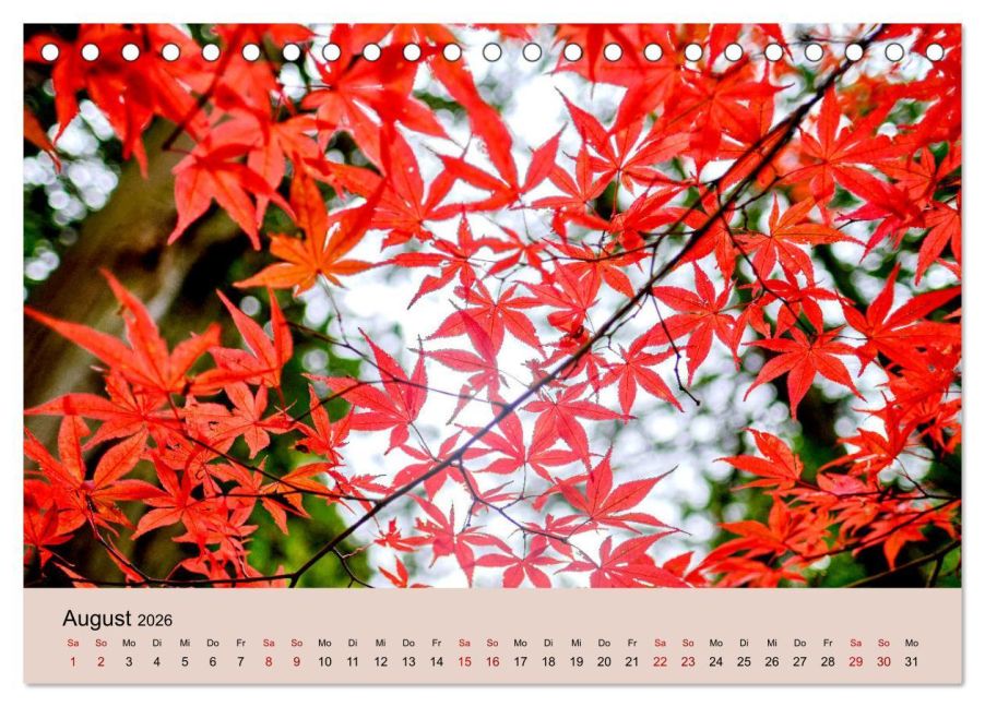 additionalImage13