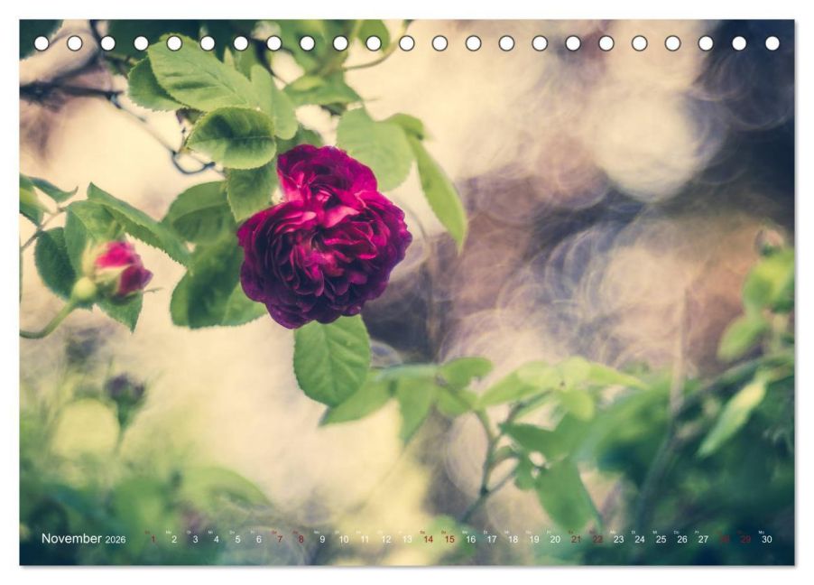additionalImage3