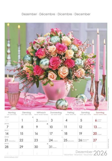 additionalImage12