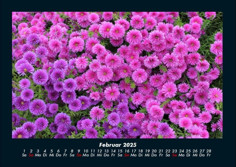 additionalImage6
