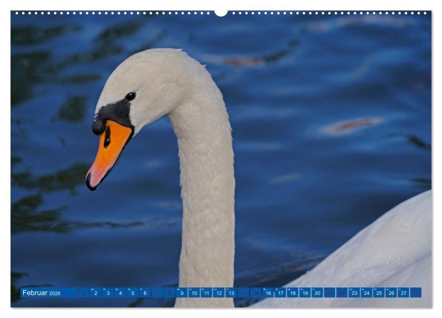 additionalImage6