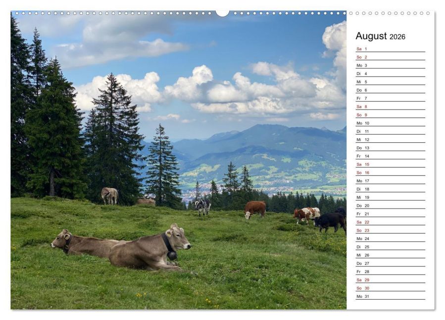 additionalImage13