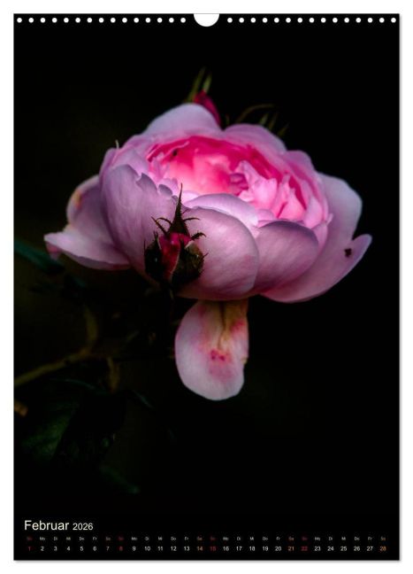 additionalImage7