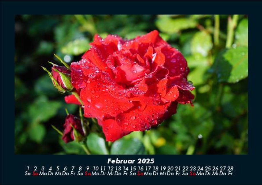 additionalImage6