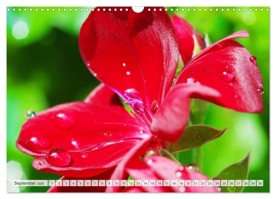 additionalImage14