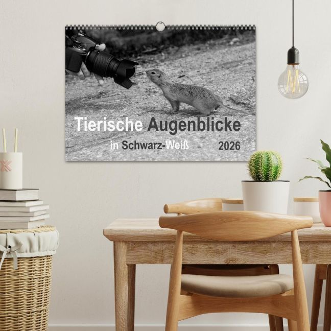additionalImage1
