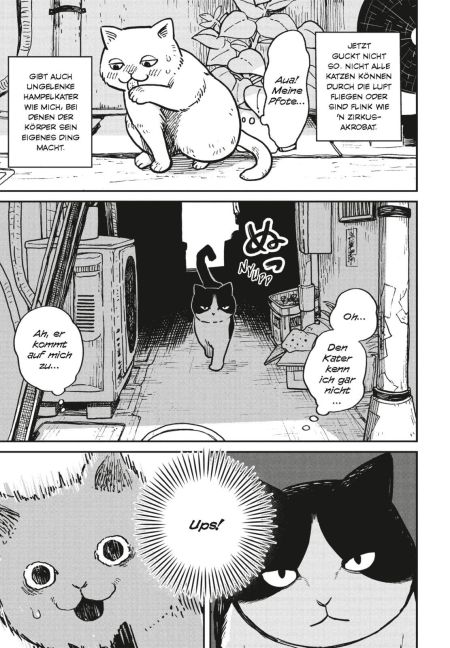 additionalImage2