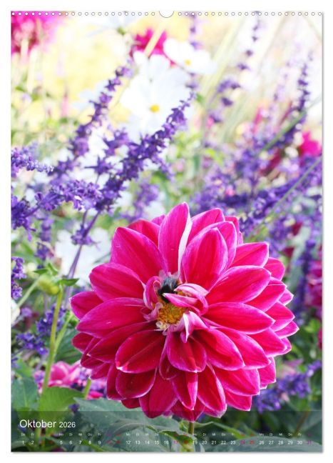 additionalImage2