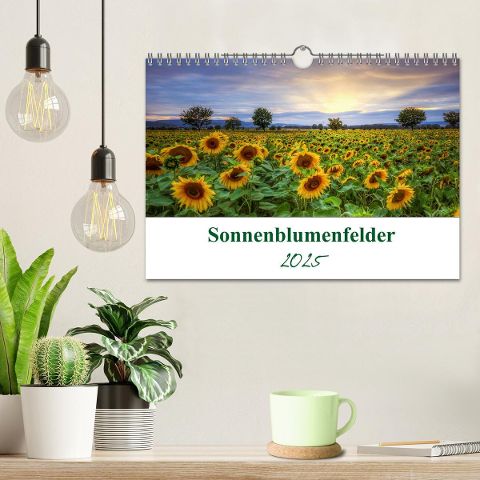 additionalImage1