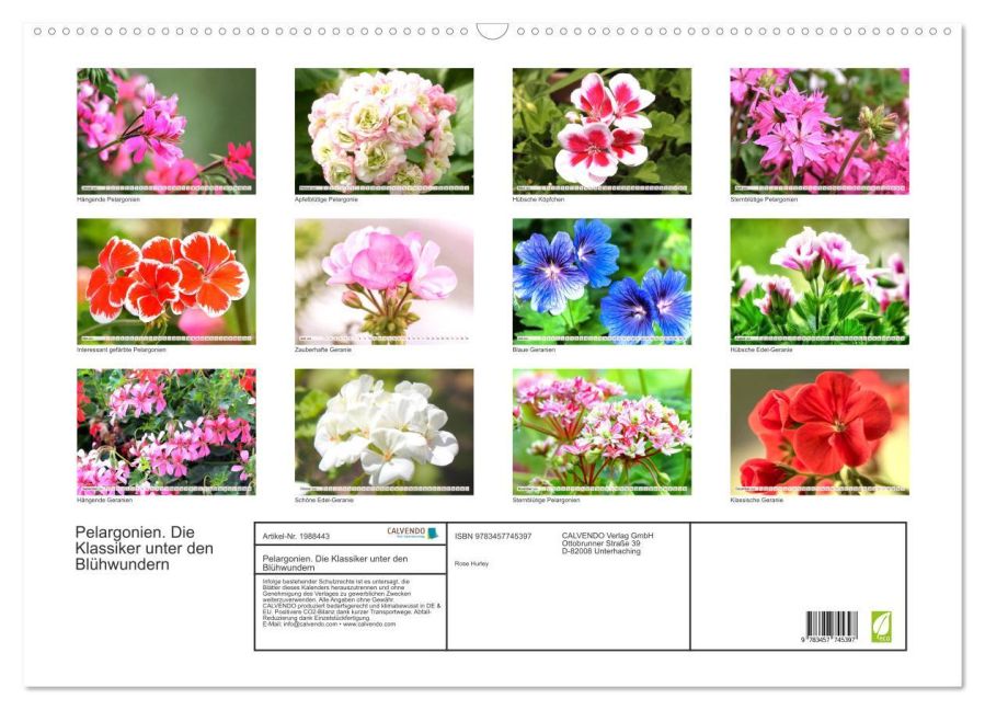 additionalImage5