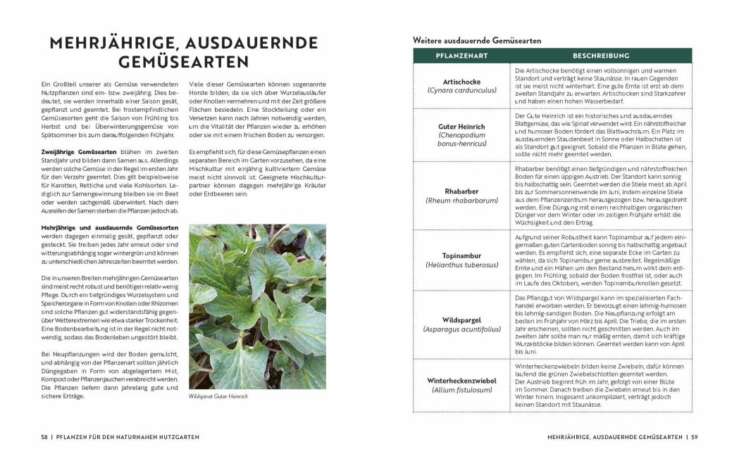 additionalImage4