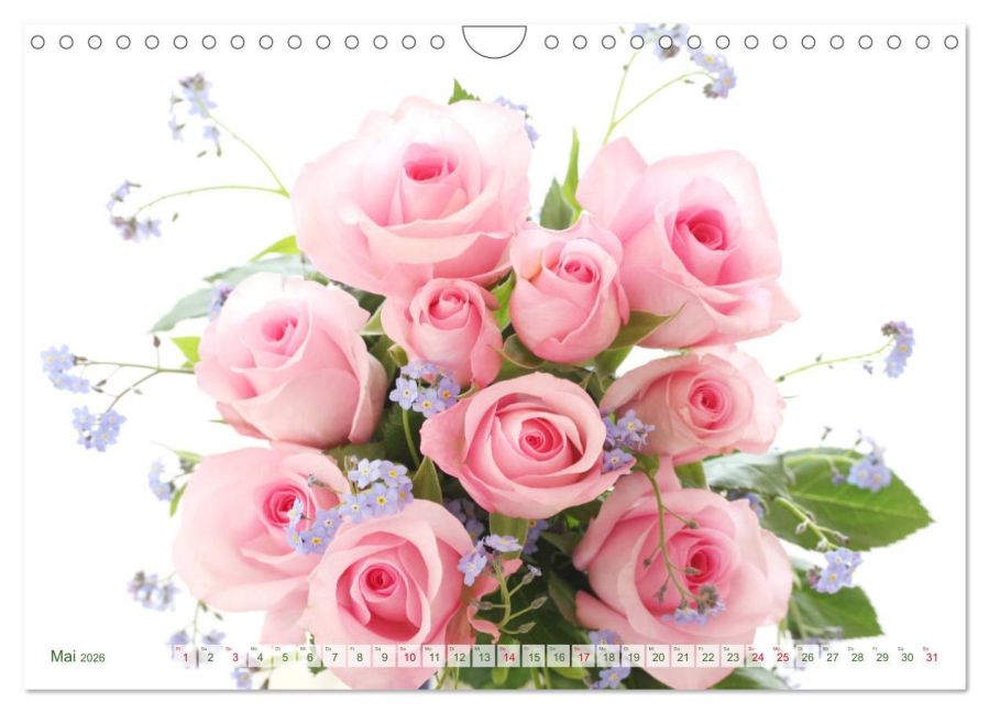 additionalImage10