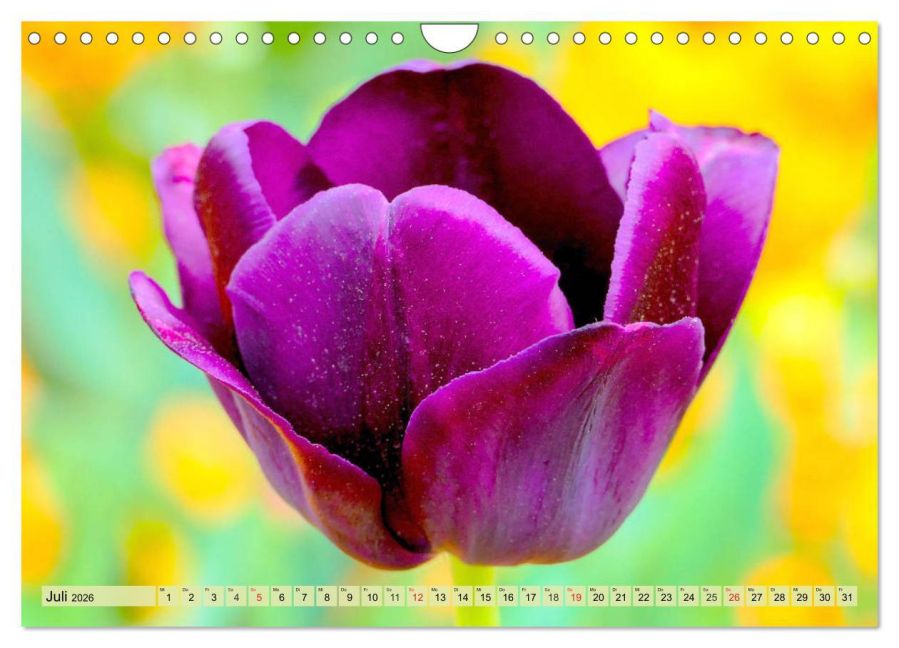 additionalImage12