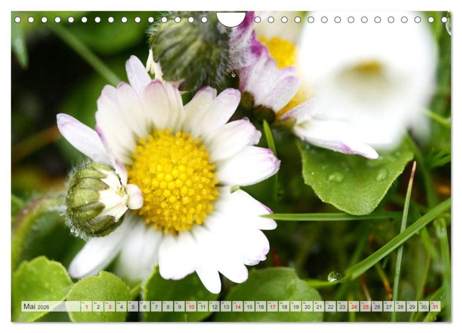 additionalImage10