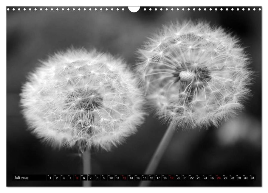 additionalImage12