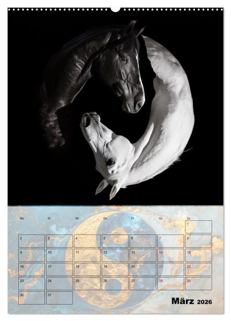 additionalImage7