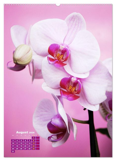additionalImage12