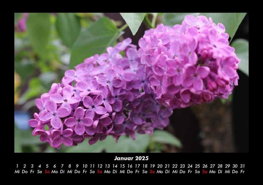additionalImage5