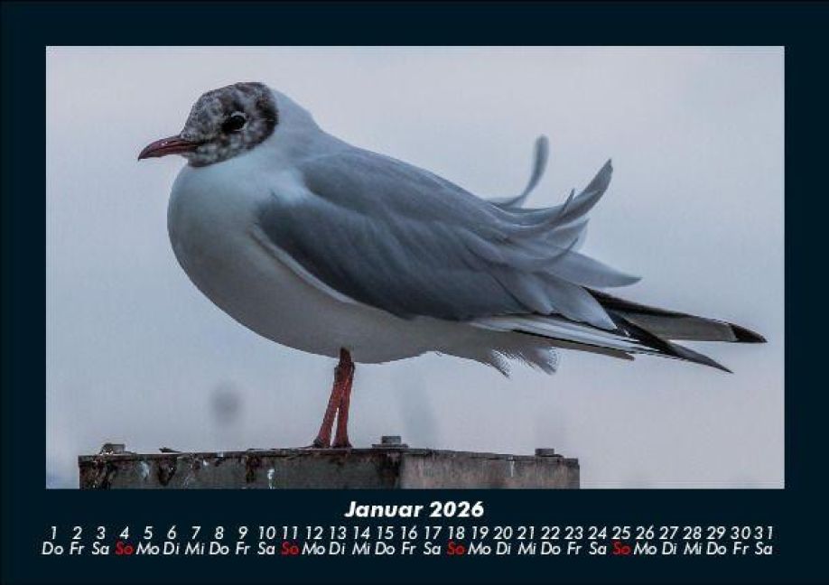additionalImage5
