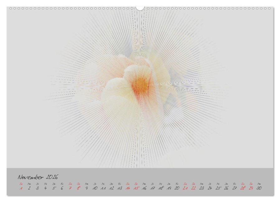 additionalImage2