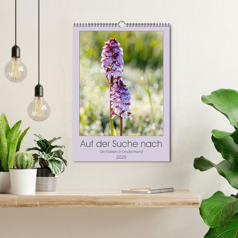 additionalImage1